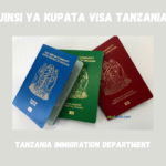 Jinsi ya Kupata Visa Tanzania