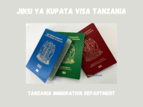 Jinsi ya Kupata Visa Tanzania