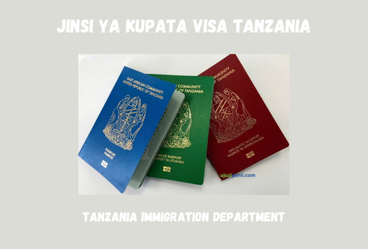 Jinsi ya Kupata Visa Tanzania