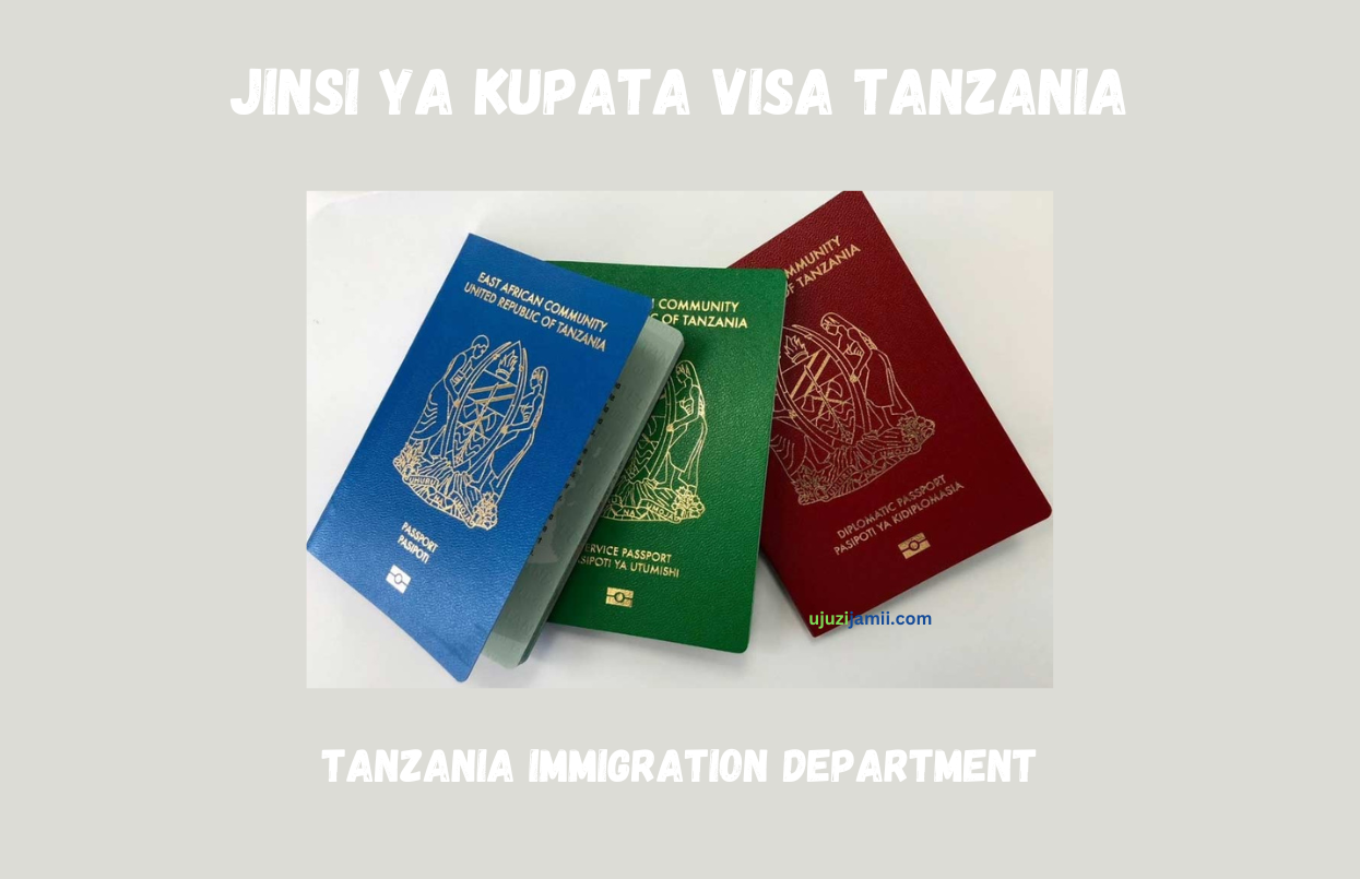 Jinsi ya Kupata Visa Tanzania