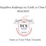 Waliochaguliwa Kujiunga na Zaidi ya Chuo Kimoja 2024/2025