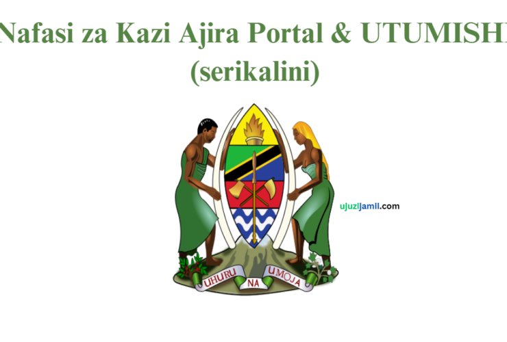 Nafasi za Kazi Ajira Portal & UTUMISHI (serikalini)