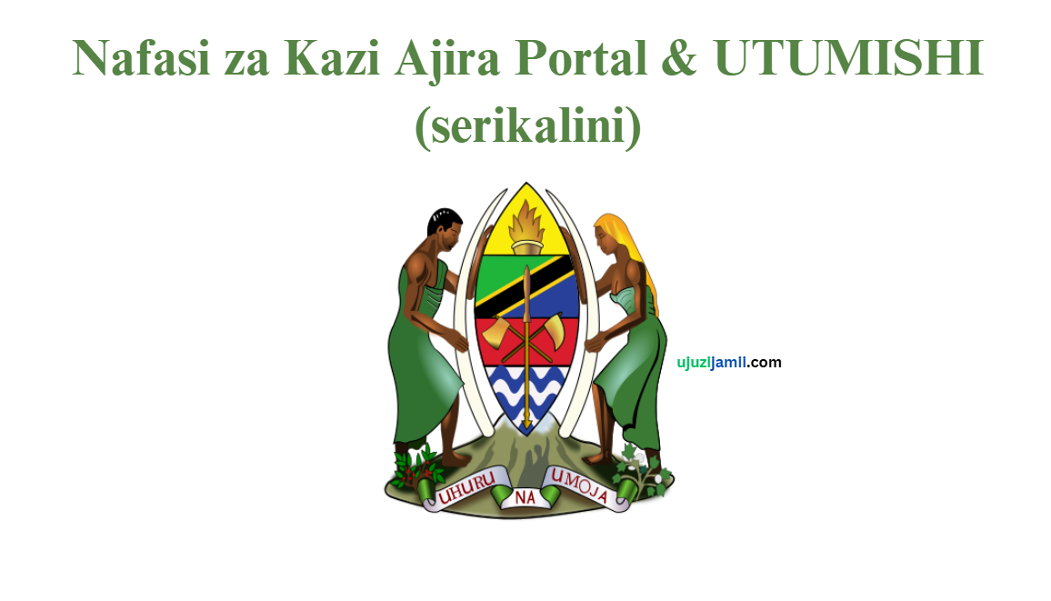 Nafasi za Kazi Ajira Portal & UTUMISHI (serikalini)